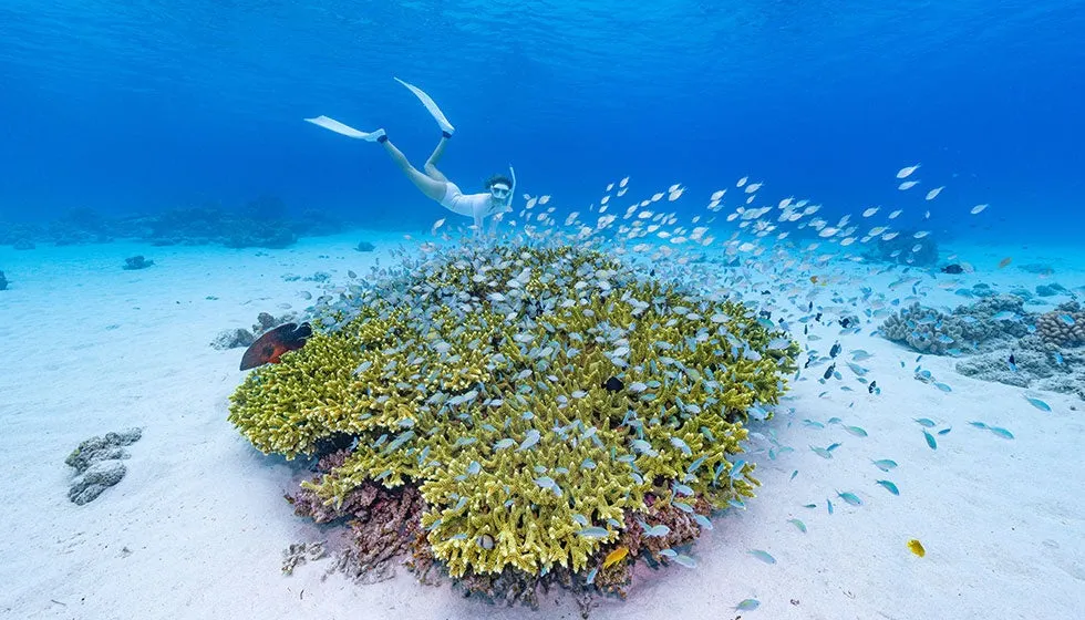 A snorkeler swimming over coral reefs in clear blue water