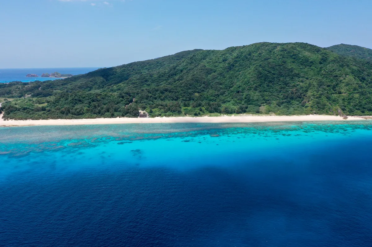 Aerial view of a white sand beach and forested hills
