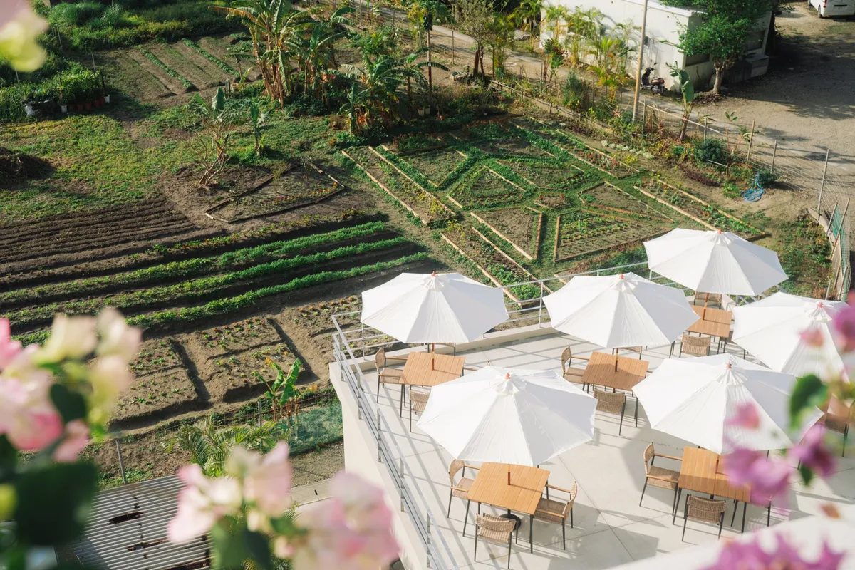 A terrace with white umbrellas overlooking a farm