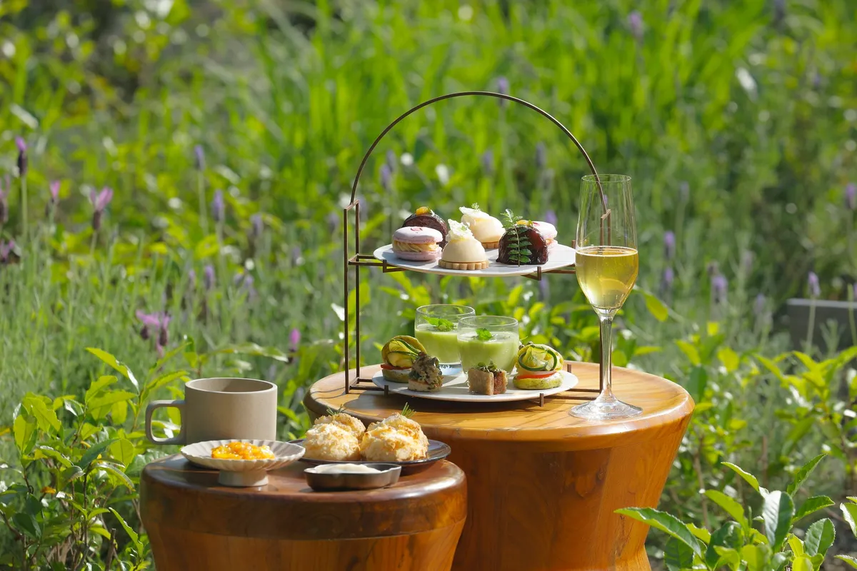 Afternoon tea set in a lush garden setting