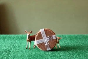 Hotel Nikko Nara Debuts Stay Plan Supporting Wildlife Conservation
