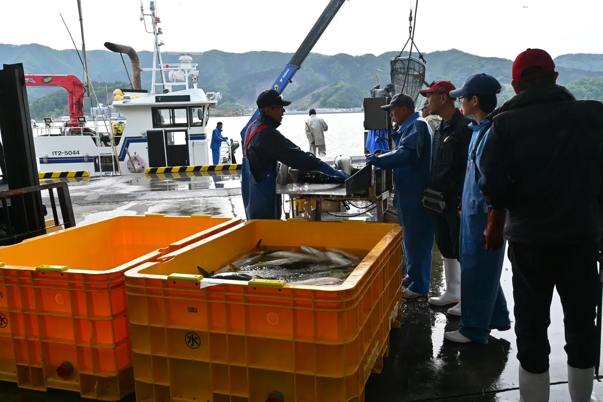 Fishermen handling fresh catch at a port
