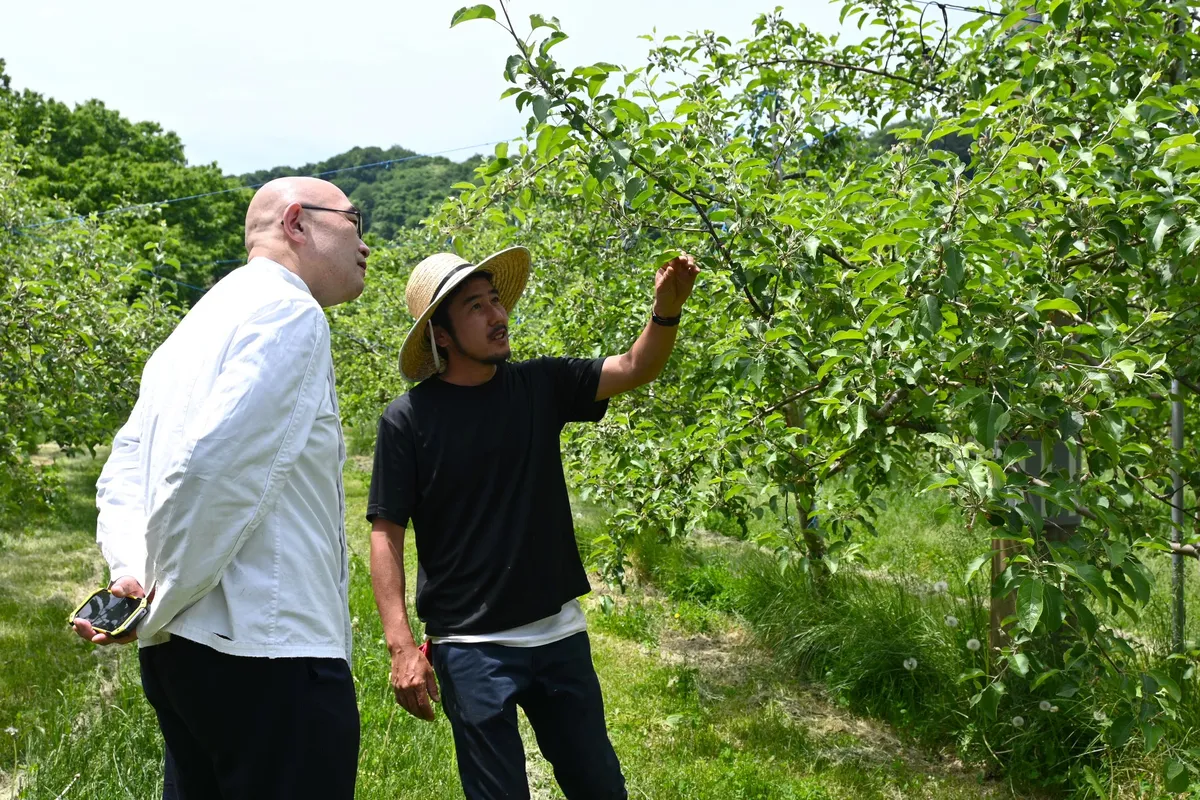 Chef and farmer in an orchard