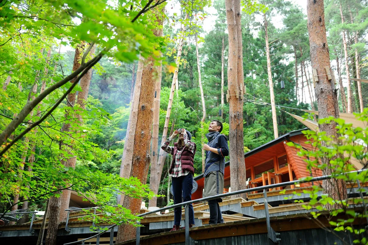 A guide and guest looking at trees with binoculars