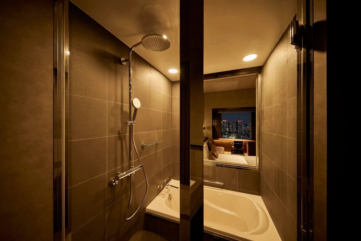 Bathroom with city view
