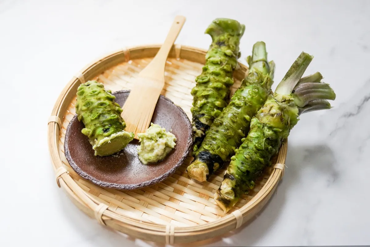 Fresh Amagi wasabi roots on a bamboo tray