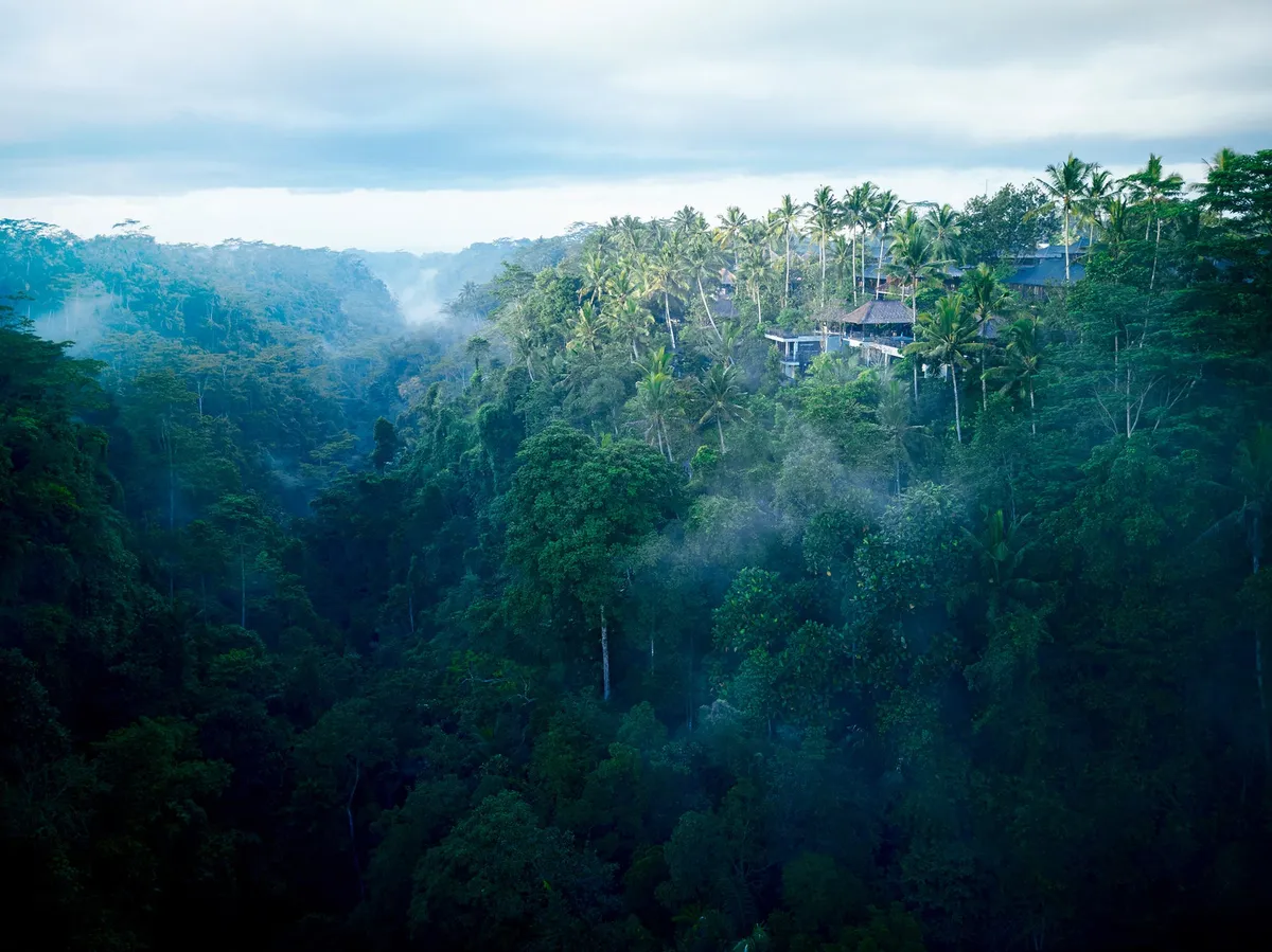 Wide view of HOSHINOYA Bali in the lush valley