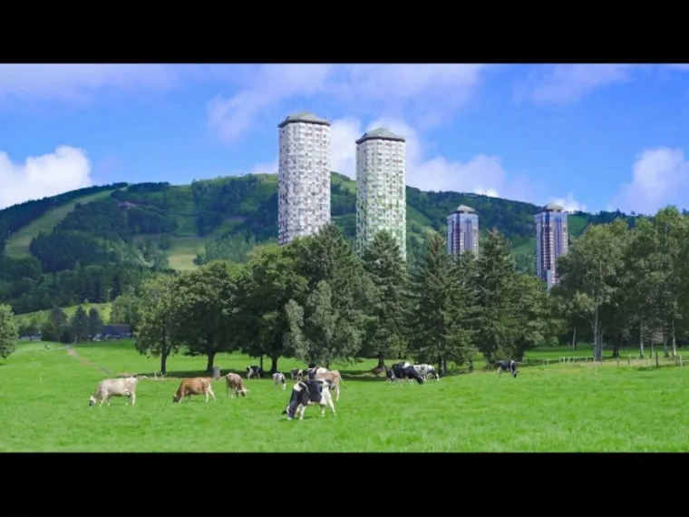 Cattle grazing on the grounds of Farm Hoshino with the resort towers in the distance
