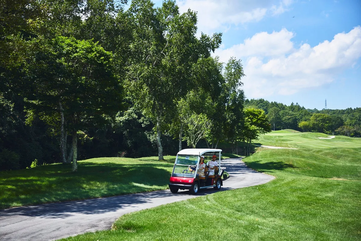 A golf cart on a paved path through a green forest