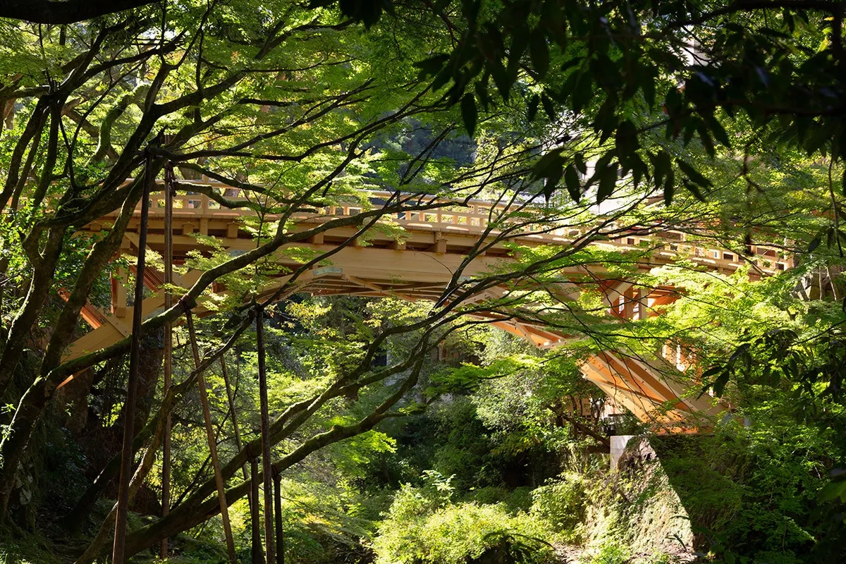 A wooden bridge spanning across a green valley