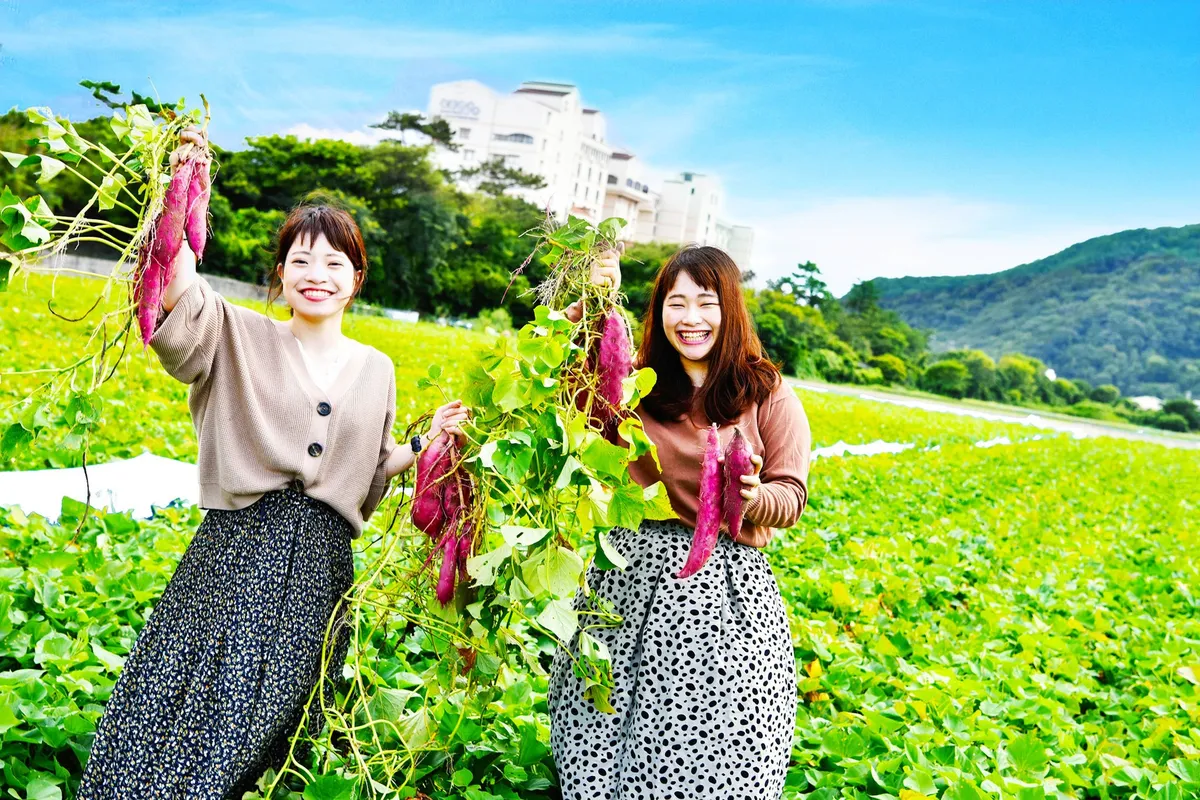 Guests in the sweet potato field