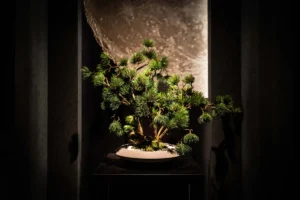SHOGUN PRIVATE RESIDENCE Shibuya Miyashita Park to Open in 2026