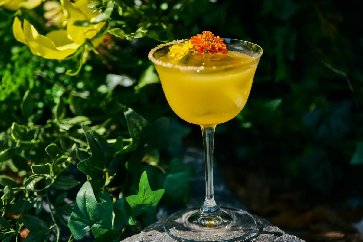 The Citrine cocktail with a floral garnish