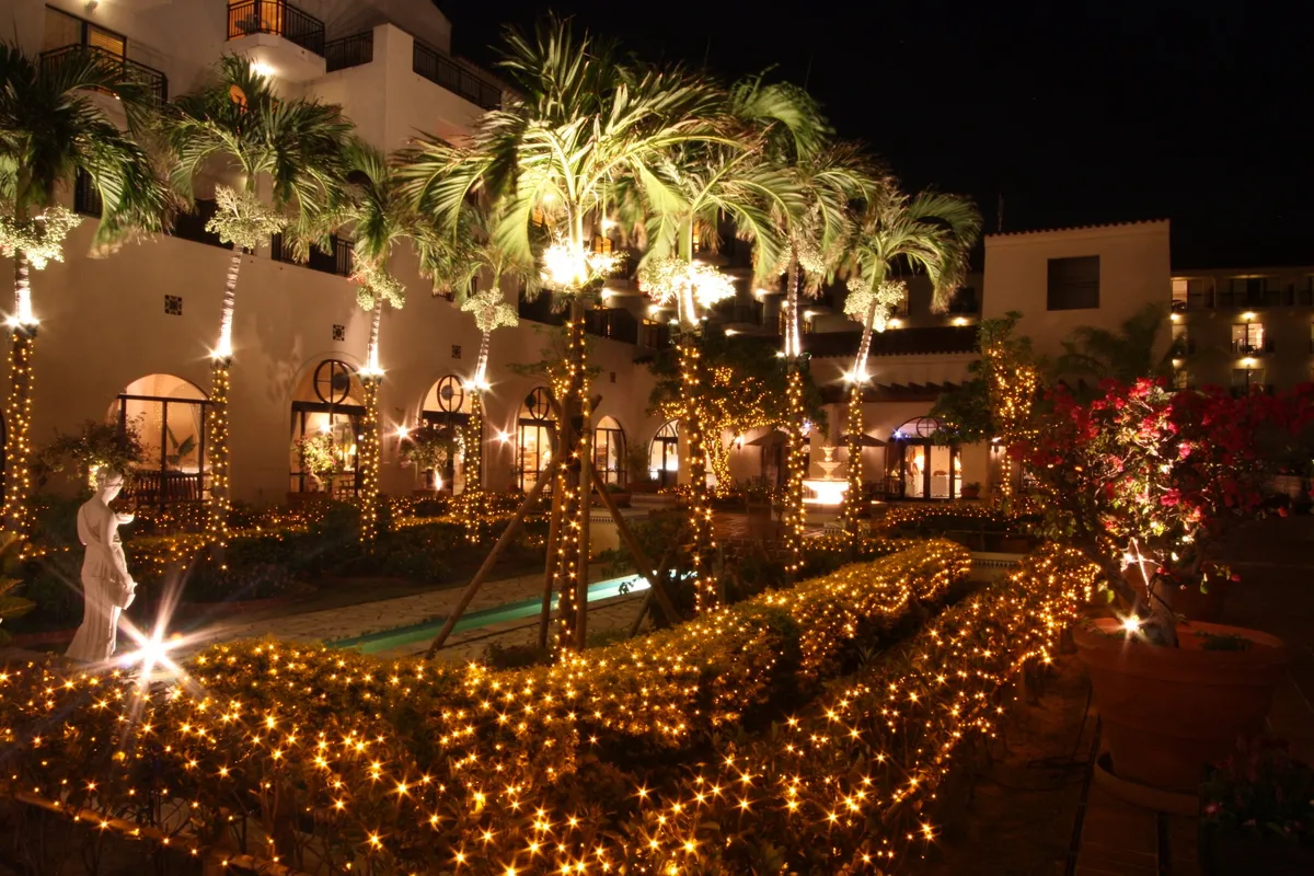 The hotel patio decorated with warm LED lights and palm trees
