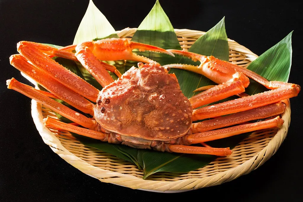 A whole boiled snow crab served on a platter