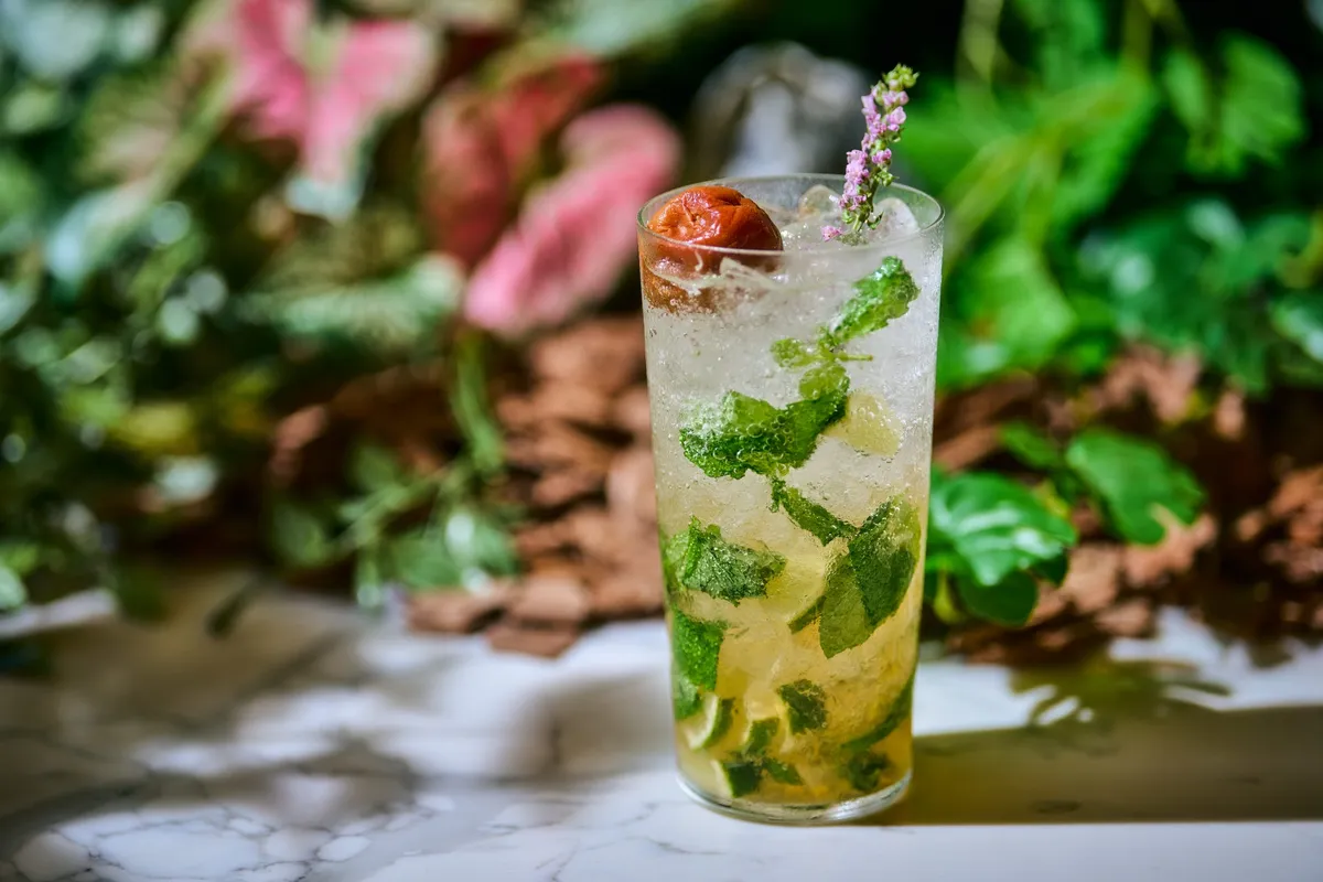 The Odawara Ume Mojito in a tall glass