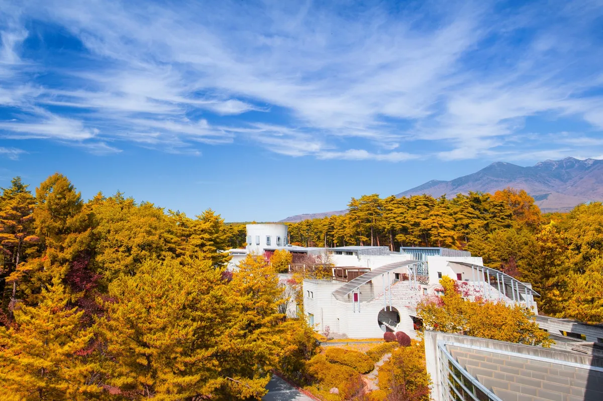 Resort architecture surrounded by yellow autumn foliage