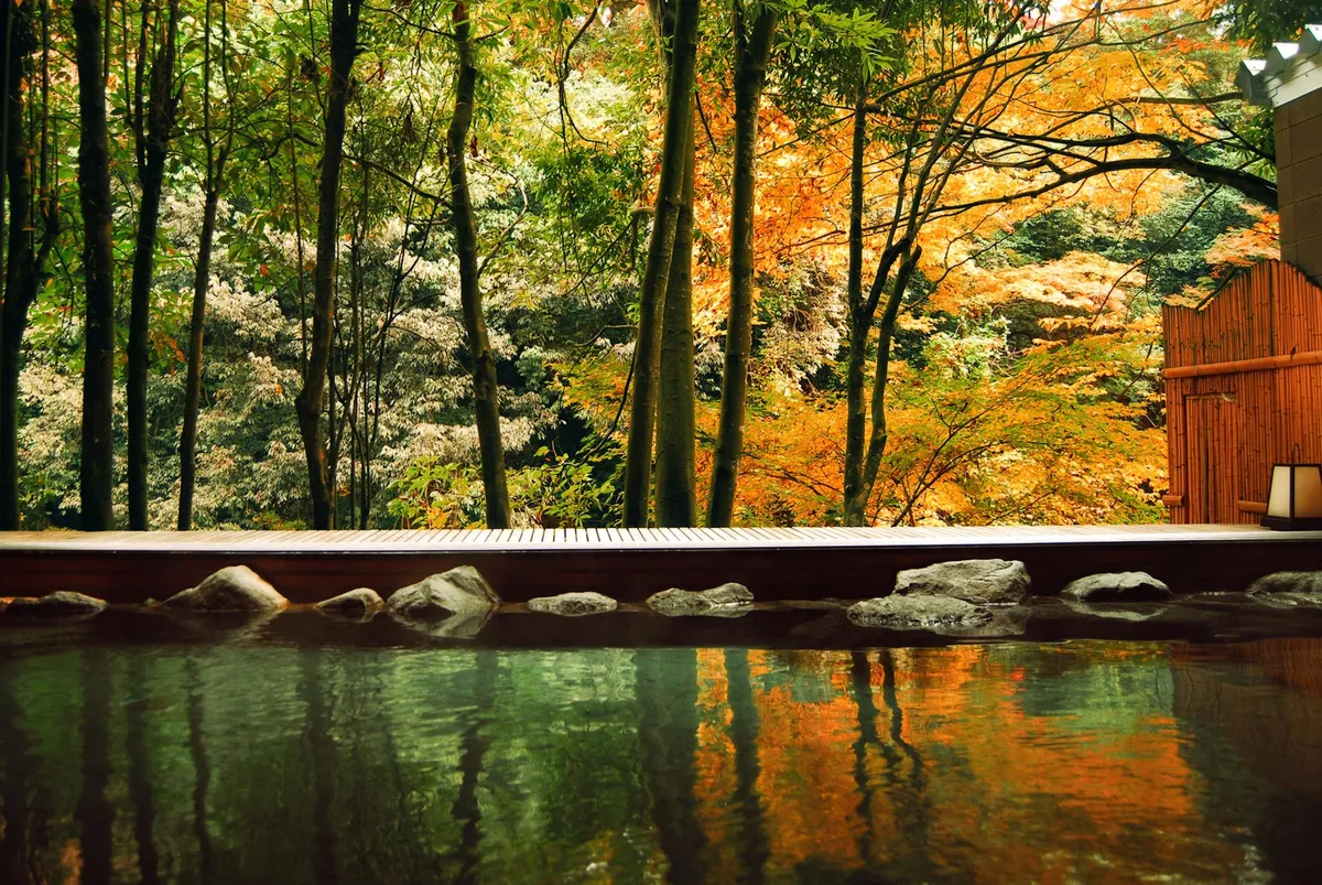 An outdoor hot spring bath with a view of autumn forest foliage