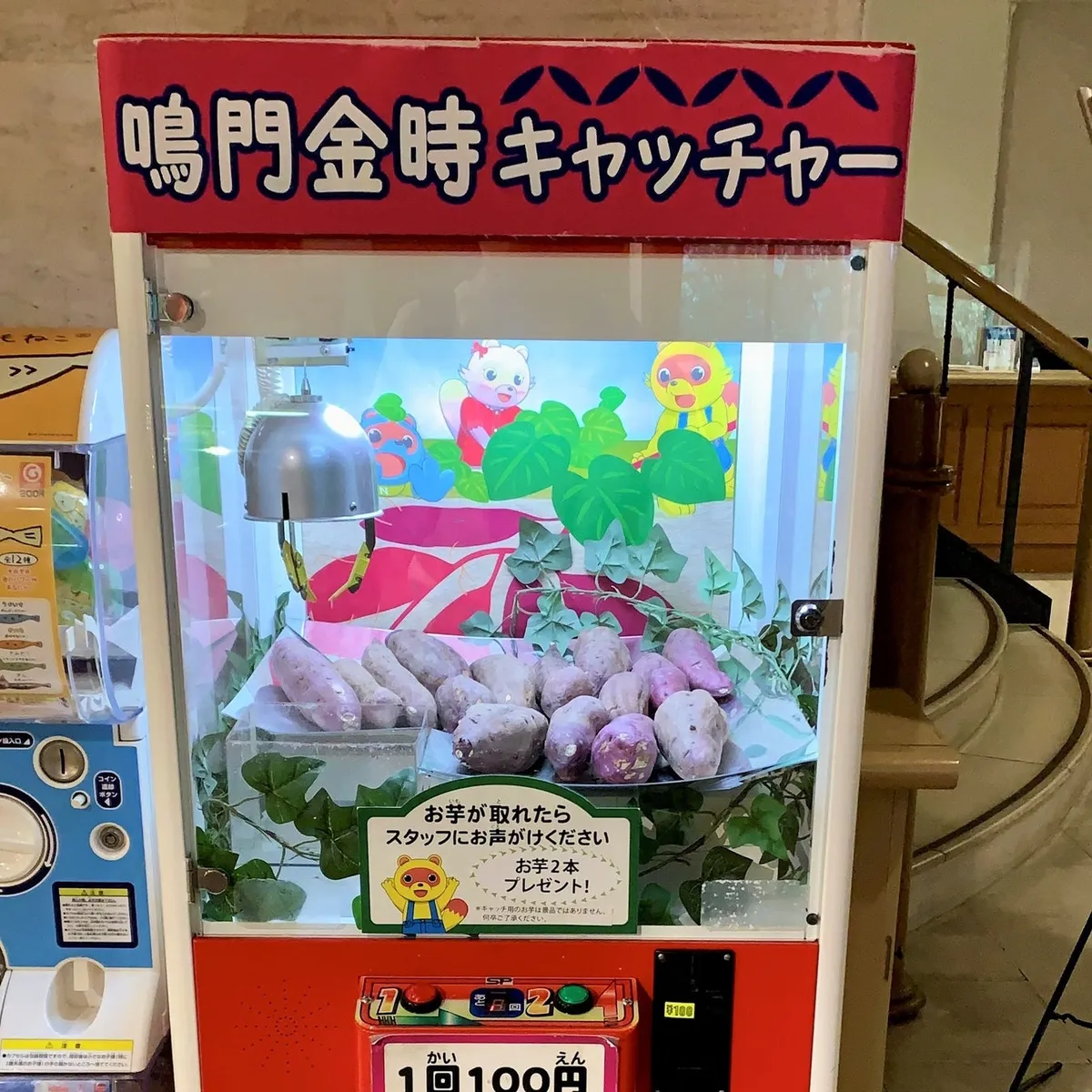 飯店內設置獨特的鳴門金時地瓜夾娃娃機